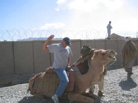 1979 Ford Bronco - Man riding a camel with handlers in a dusty, secured area.