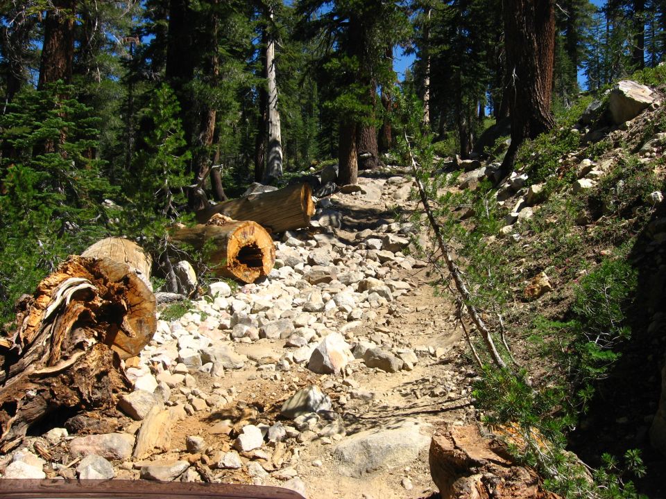 rocky forest trail with fallen logs blocking the path