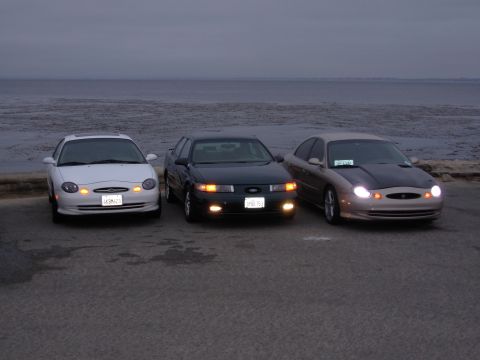 1995 Ford Taurus - Three 1995 Ford Taurus sedans are parked in a line facing the ocean, with their headlights on.