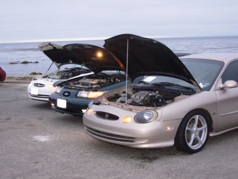 1995 Ford Taurus - Multiple Ford Tauruses with their hoods open are parked in a line near the ocean.