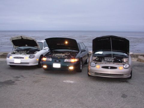 1995 Ford Taurus - Three Ford Tauruses are parked in front of the ocean with their hoods open.