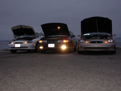 1995 Ford Taurus - Three Ford Taurus cars are parked in a row with their hoods open, illuminated by their headlights against the twilight sky.