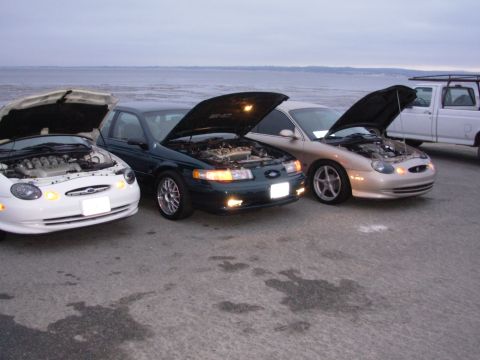 1995 Ford Taurus - Multiple Ford Taurus sedans are lined up with their hoods open, facing the water.
