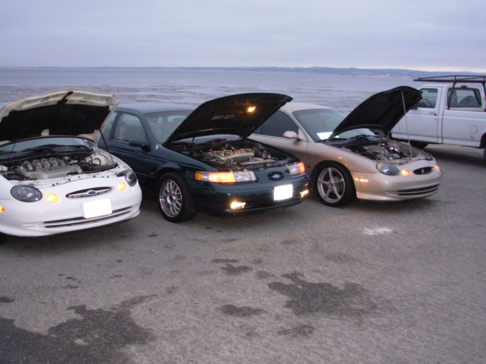 Three Ford Taurus sedans with hoods open, parked by the water