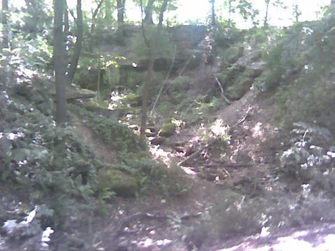 1997 Ford Probe - A view of a wooded hillside with dense foliage and rocky terrain.