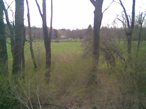 1997 Ford Probe - Hole 10 Canton