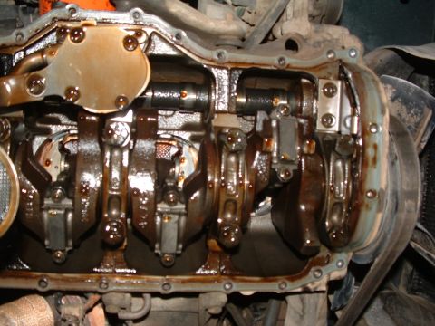 1994 Jeep Wrangler “Partially Erect YJ”