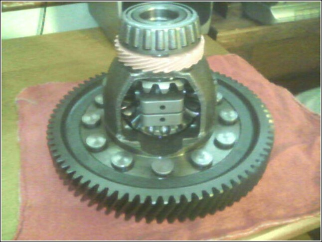 Differential gear assembly with bearing and ring gear