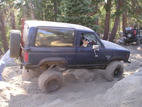 1986 Ford Bronco II