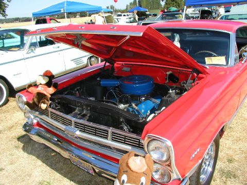 1967 Ford Ranchero - A red 1967 Ford Ranchero is displayed with its hood open, revealing the engine and two stuffed animals on the grille.