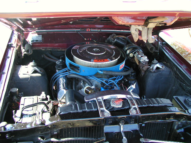 Engine bay of a Ford vehicle, showing the V8 engine with a blue air cleaner and red spark plug wires