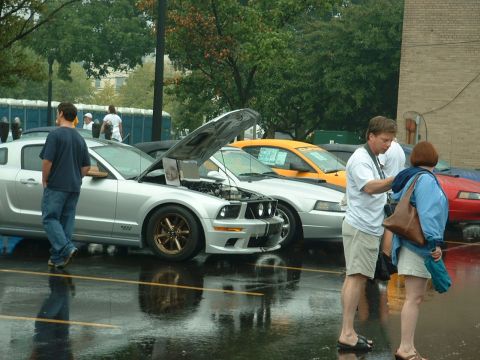 1978 Ford Mustang II - Several Ford Mustangs are parked in a lot, some with hoods open, on a rainy day.