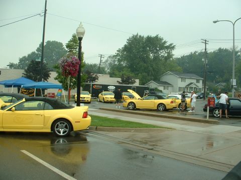 1978 Ford Mustang II - Several yellow Mustangs are gathered, with one convertible in the foreground and another with its hood open in the background.
