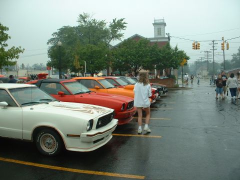 1978 Ford Mustang II - Row of Mustang IIs lined up nose-out on a rain-slicked lot, led by a white King Cobra with gold cobra hood graphic, orange pinstripes and l…