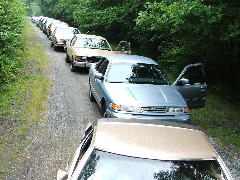 Row of Ford Crown Victoria sedans parked on a gravel lane at a club meet, doors open