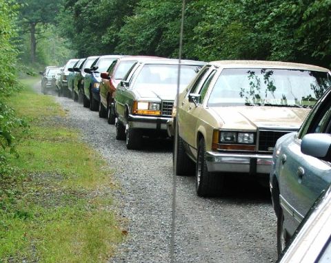 1985 Ford LTD Crown Victoria - A row of boxy 1980s Ford LTD Crown Victoria sedans lined up nose-out on a gravel shoulder at a club meet, led by a gold car with a padded v…