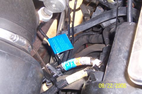 2000 Ford Excursion “Xochi”