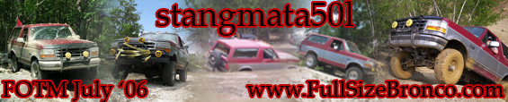 Multiple Ford Broncos off-roading on a dirt trail, one is partially submerged in water
