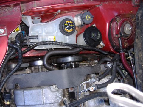 1998 Ford Taurus - Close-up view of the engine bay, highlighting the coolant and power steering fluid reservoirs.