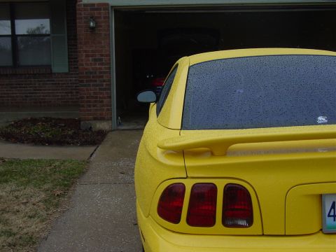 1998 Ford Mustang - Rear view of a yellow 1998 Ford Mustang with water droplets on the paint.