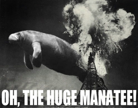 1969 Ford Mustang - A manatee is seen swimming near a large explosion, with text overlay reading 'OH, THE HUGE MANATEE!' and a website address.