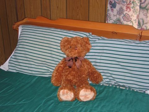 2004 Ford F-150 - A plush teddy bear rests on a bed, positioned in front of a pillow and headboard.