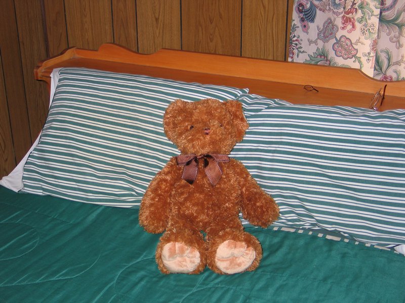 Teddy bear with a brown bow sits on a bed with green sheets and a striped pillow