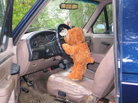 2004 Ford F-150 - Teddy bear appears to be driving a truck from the 1990s.