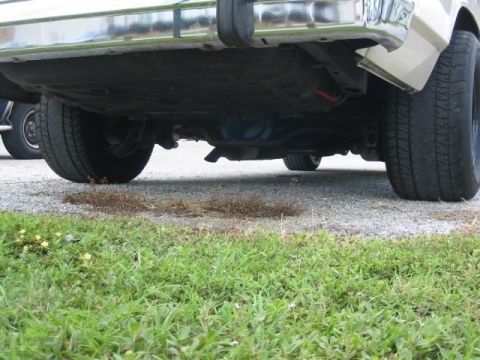 1985 Ford LTD Crown Victoria - The underside of a sedan, viewed from the rear, reveals its mechanical components and tires.