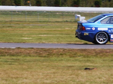 2001 Mercury Grand Marquis - A blue race car with a large rear spoiler is seen from the rear on a grassy track.
