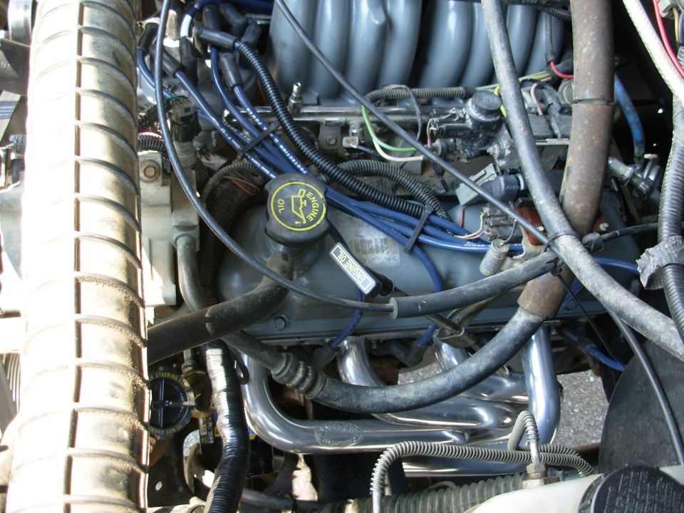 Ford V8 engine bay with blue plug wires, yellow oil cap and stainless headers