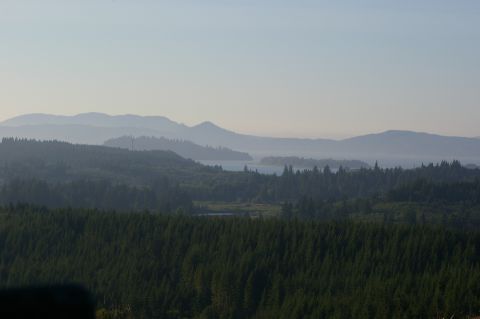 1998 Jeep TJ - A vast expanse of evergreen trees stretches towards distant, mist-shrouded mountains and a calm body of water.
