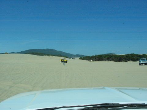 1995 Ford Bronco - Two vehicles are seen driving across a wide expanse of sand dunes under a clear blue sky.