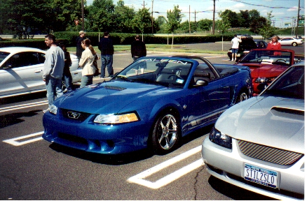 1989 Ford Mustang - 1999 Saleen