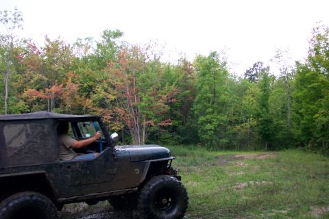 1979 Ford Bronco - A driver navigates a muddy trail in a Jeep CJ-5, surrounded by autumn foliage.