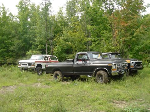 1979 Ford F-250 - Three Ford trucks, including a black F-150 and a white Bronco, are parked in a grassy area with trees.