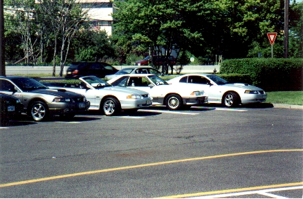 1989 Ford Mustang - Multiple Ford Mustangs are parked in a lot, showing various models and colors.