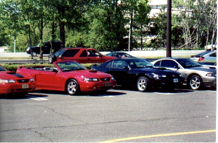 1989 Ford Mustang - Several Mustangs are parked in a lot, including a red convertible in the foreground.