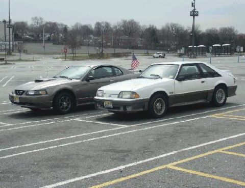 1989 Ford Mustang - Two Ford Mustangs, one from 1989 and a newer model, are parked in an outdoor lot.