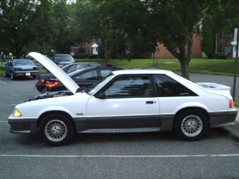 1989 Ford Mustang - A white 1987 Ford Mustang coupe is parked with its hood open, alongside other vehicles.
