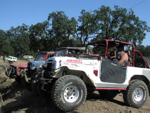 1979 Ford Bronco - A white Toyota Land Cruiser FJ40, labeled "ANIMAL", is parked in a line with other off-road vehicles under a clear blue sky.
