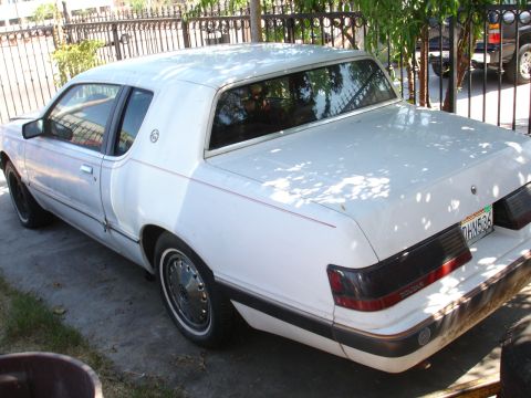 1993 Ford Taurus - This white coupe features red pinstripes and a "COUGAR" badge on the rear, indicating it is not a 1993 Ford Taurus.