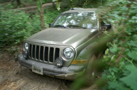 2006 Jeep Liberty - A gold 2006 Jeep Liberty navigates a wooded trail, showing its front grille and headlights.