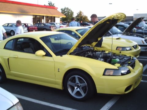 1989 Ford Mustang - Two yellow Ford Mustangs are parked side-by-side, one with its hood open.