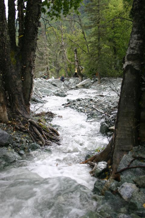 2003 Jeep TJ - A fast-flowing river winds through a rocky forest landscape with dense trees.
