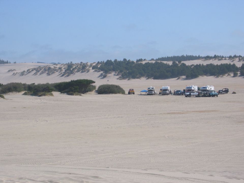 Several RVs and vehicles parked on sand dunes with trees in the background