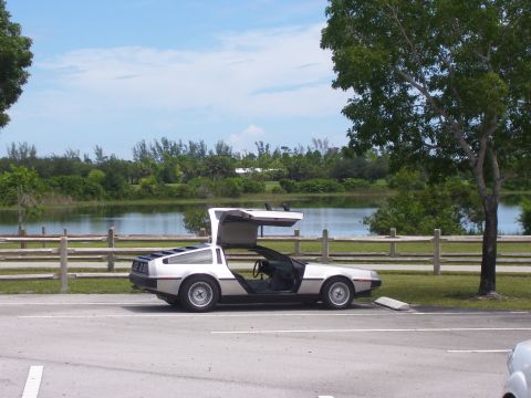 1994 Ford Probe - A DeLorean DMC-12 is parked next to a wooden fence with its gullwing doors open, overlooking a body of water.