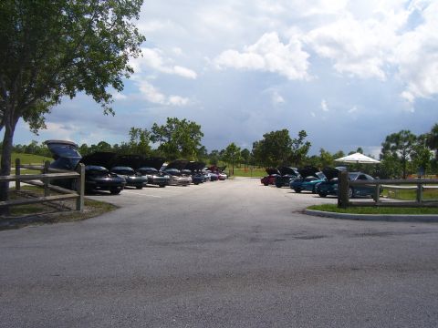 1994 Ford Probe - A gathering of cars with their hoods open in a parking lot, set against a backdrop of trees and a cloudy sky.