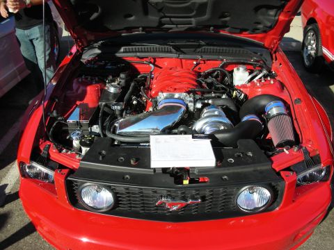 1998 Ford Crown Victoria - Open hood of a red Ford Mustang showing a heavily modified engine bay with polished forced-induction intakes and a pony grille emblem.