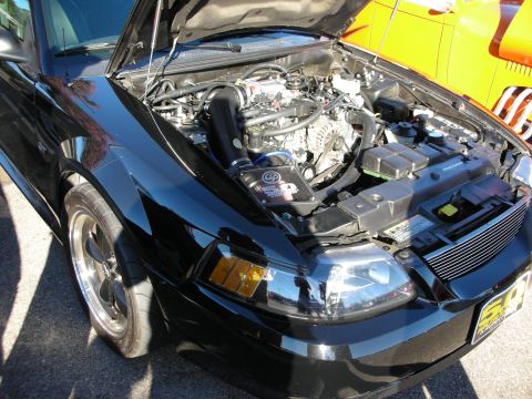 1998 Ford Crown Victoria - black Ford Mustang with its hood open displays the engine bay, with another orange car parked alongside.